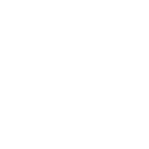 fast-forward icon