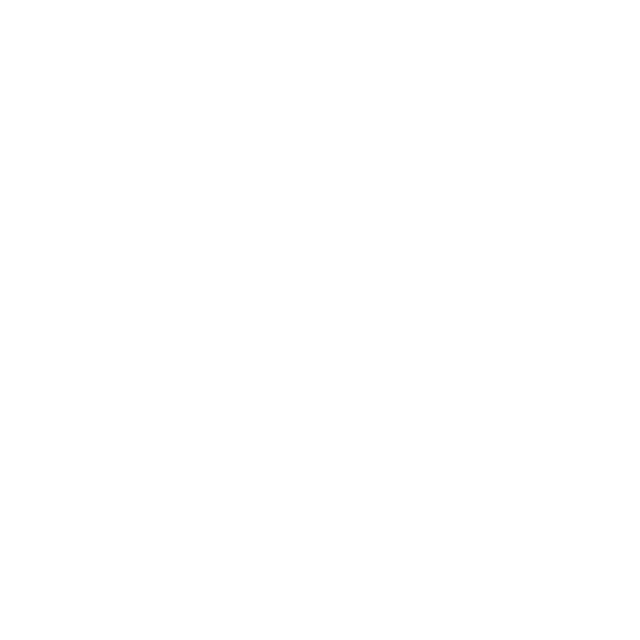 fast-forward icon